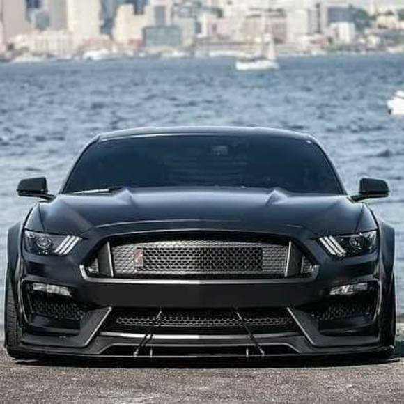 david_stang67